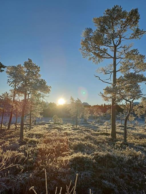 Koselig Og Moderne Leilighet, Meget Sentralt I Narvik Med Gratis Parkering! 외부 사진