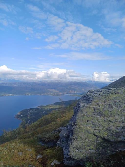 Koselig Og Moderne Leilighet, Meget Sentralt I Narvik Med Gratis Parkering! 외부 사진