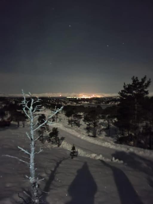 Koselig Og Moderne Leilighet, Meget Sentralt I Narvik Med Gratis Parkering! 외부 사진