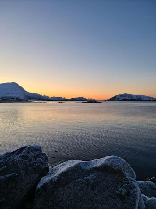 Koselig Og Moderne Leilighet, Meget Sentralt I Narvik Med Gratis Parkering! 외부 사진