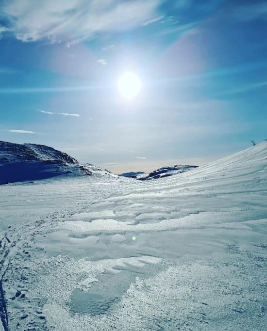 Koselig Og Moderne Leilighet, Meget Sentralt I Narvik Med Gratis Parkering! 외부 사진