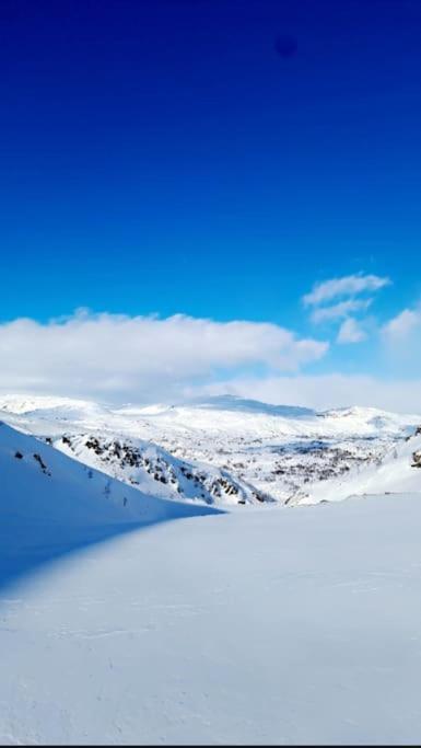 Koselig Og Moderne Leilighet, Meget Sentralt I Narvik Med Gratis Parkering! 외부 사진